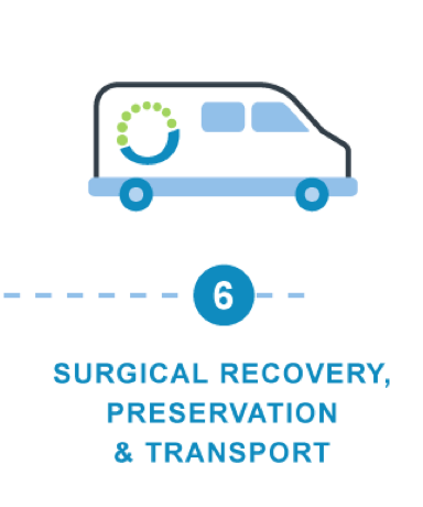 Paso 6: Obtención quirúrgica, preservación y transporte