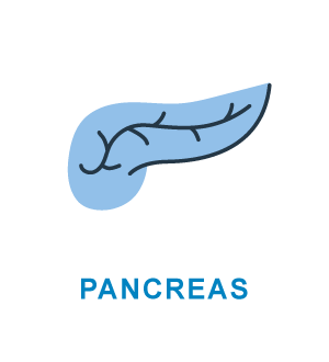 Pancreas