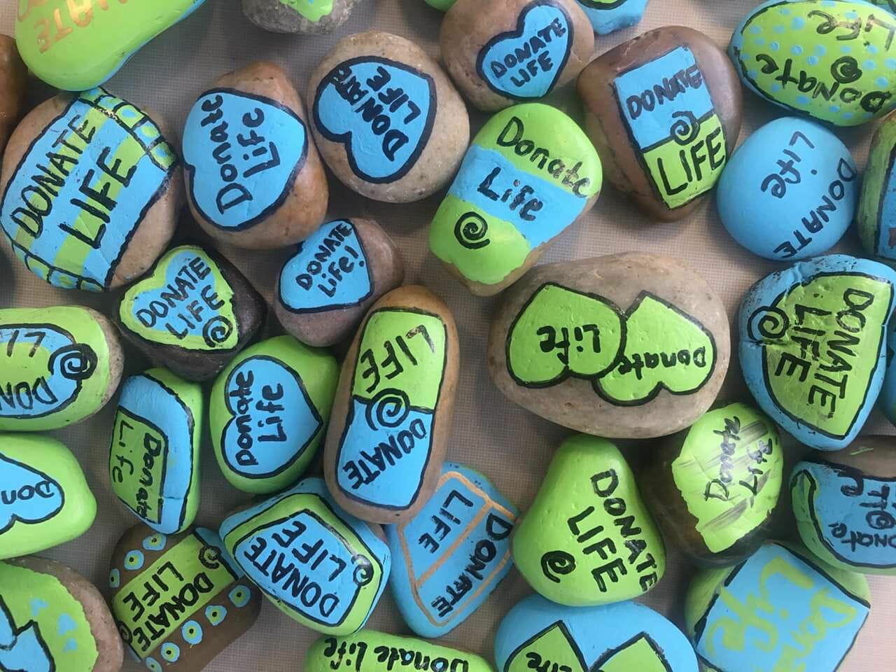 Rocks painted with Donate Life brand blue and green colors