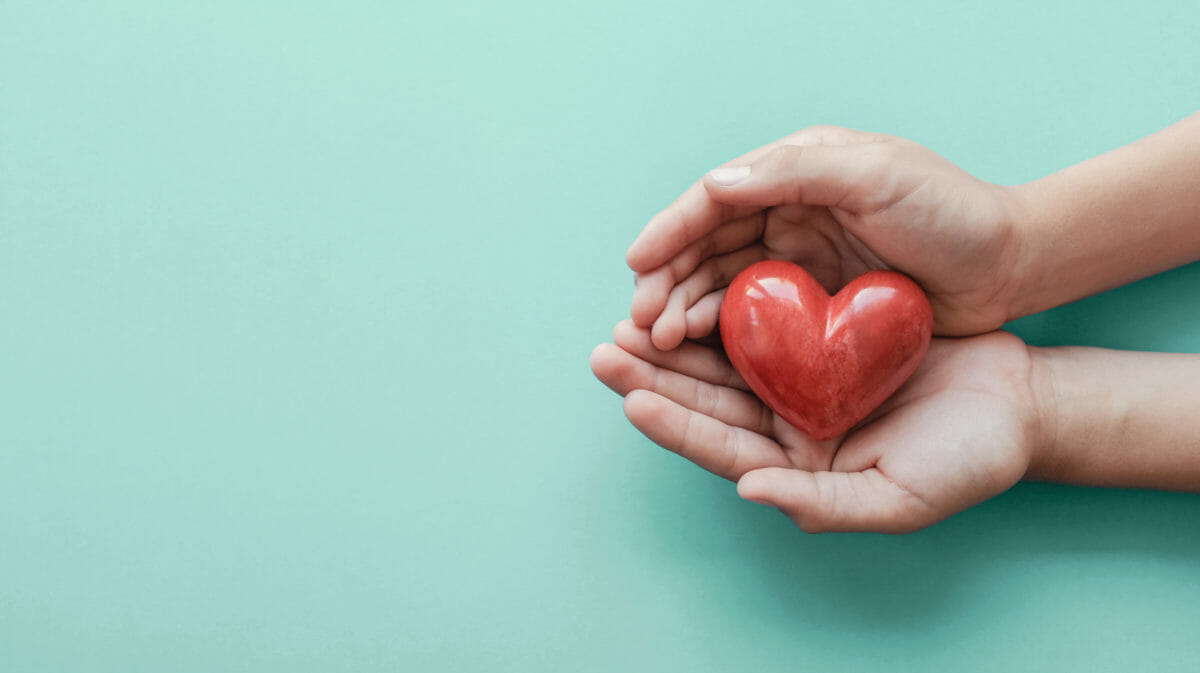 Hands holding a red heart on green background