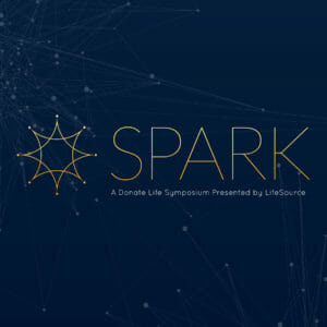 logotipo spark