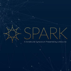 spark logo