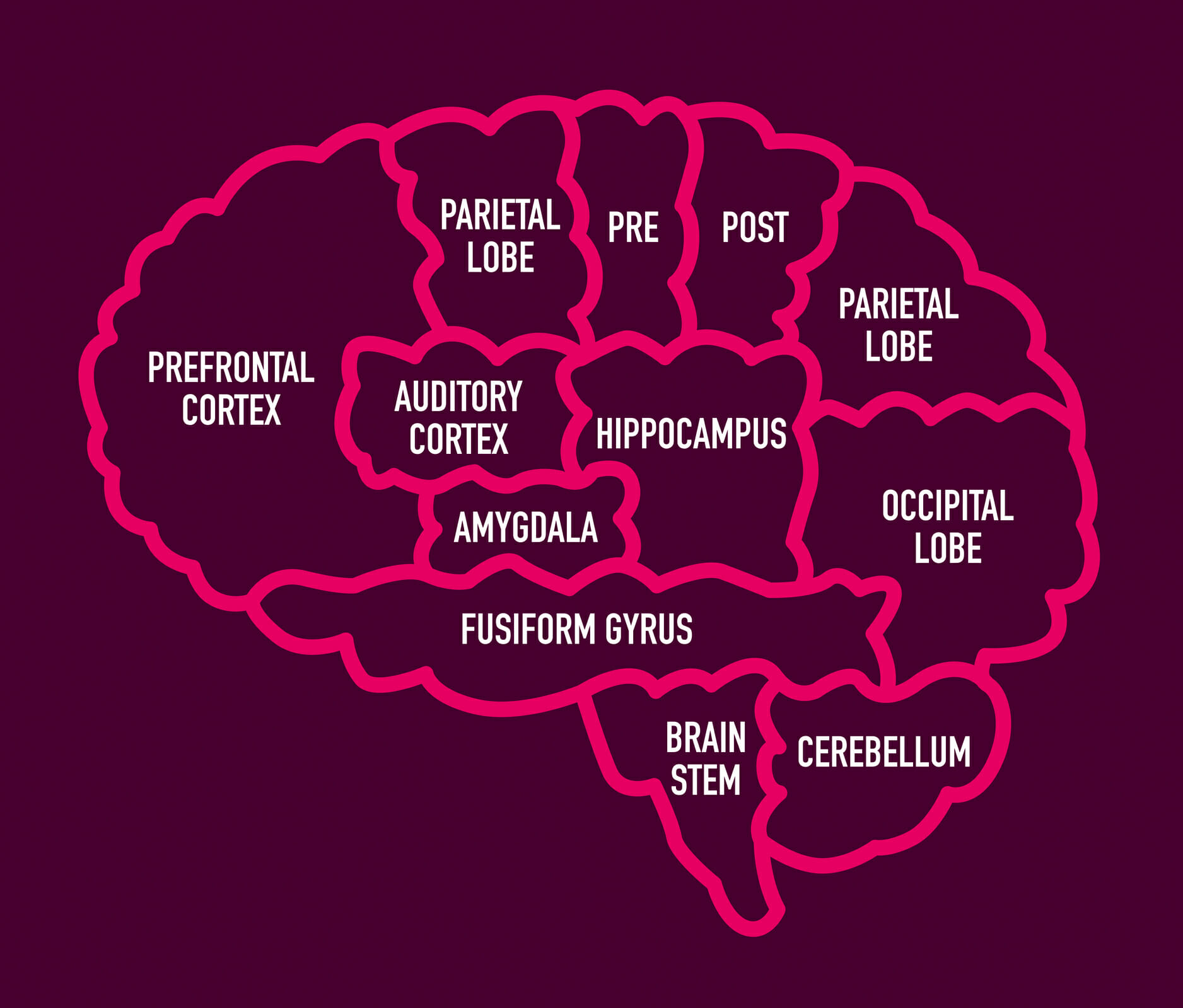 What Is Brain Death? | LifeSource