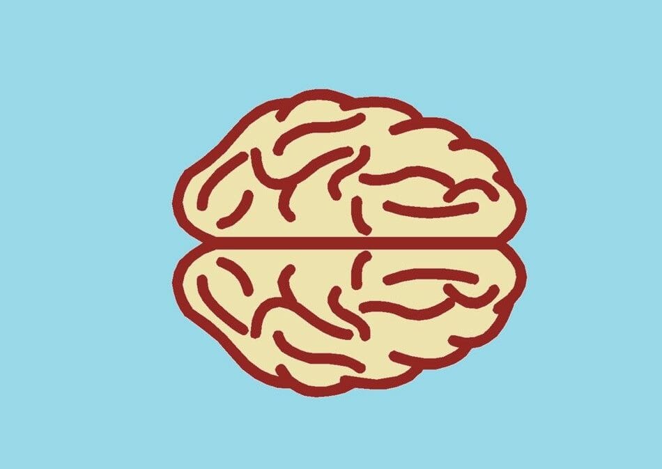 A cartoon image of a brain