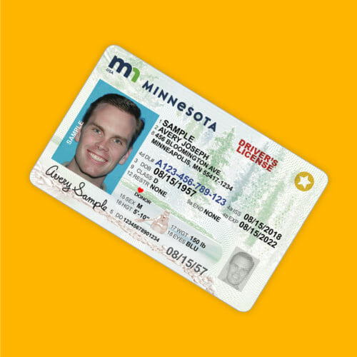 sample drivers license of donor