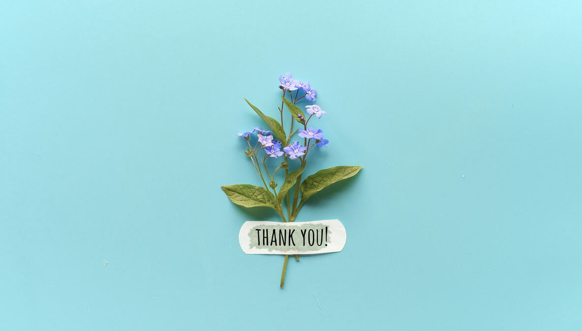 Forget-me-not wild flowers fixed with band aid that says thank you