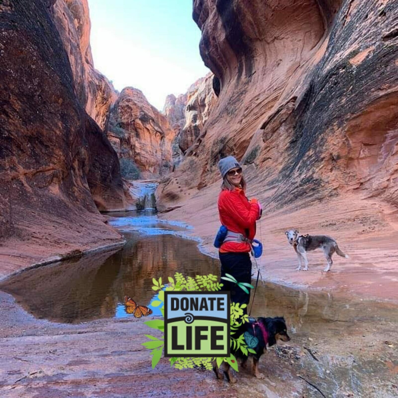 woman smiles at camera as she walks her dogs to the mouth of a river