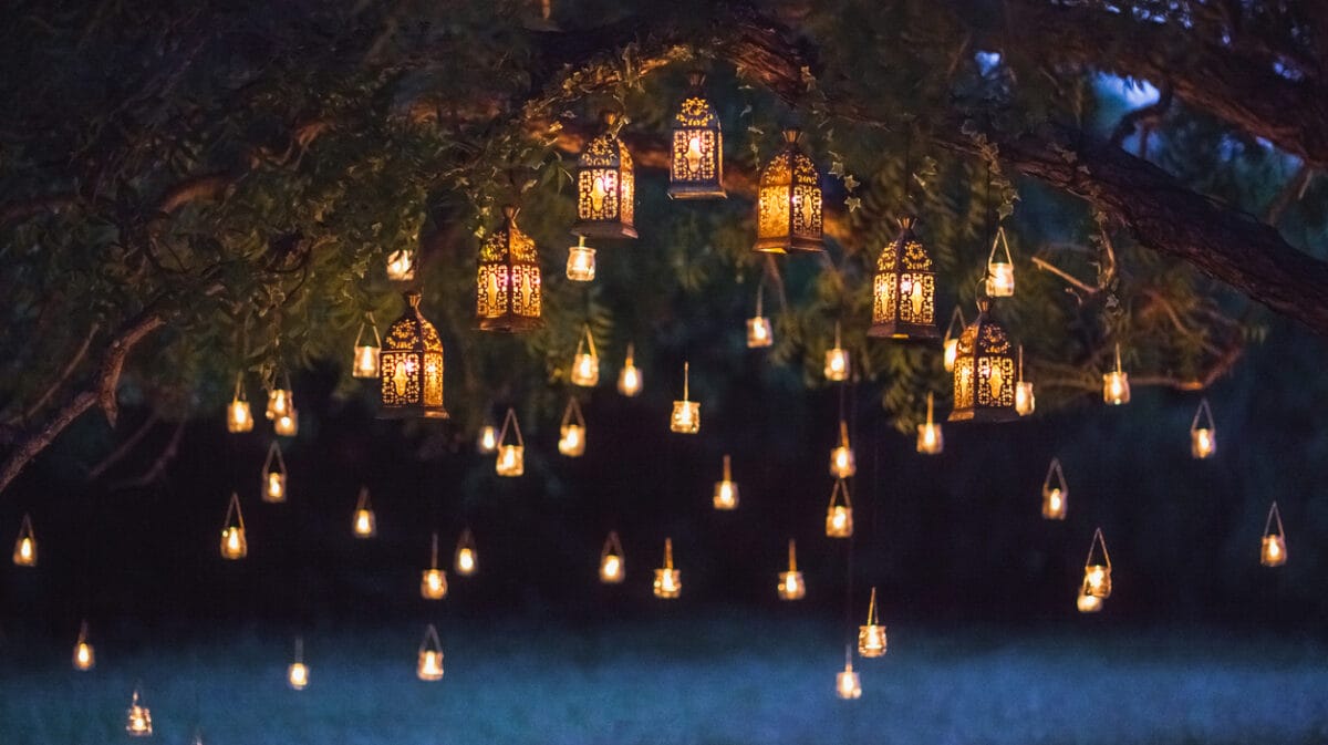 farolillos colgados de un árbol por la noche