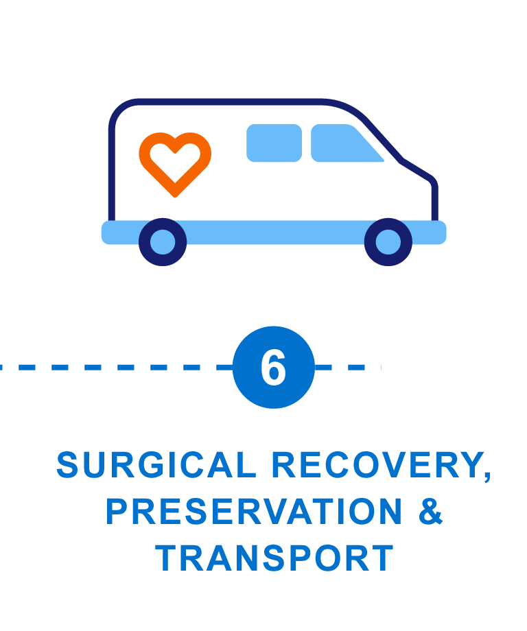 Step 6: Surgical Recovery, Preservation & Transport